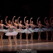 Magyar Állami Operaház