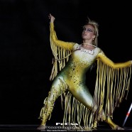 Gombold Újra – Opera